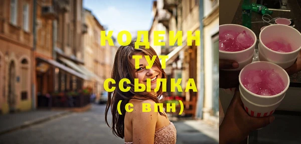 гашик Дмитриев