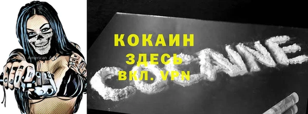 гашик Дмитриев